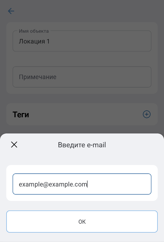AddingManagerInTheApp_04_EnteringEmail.png